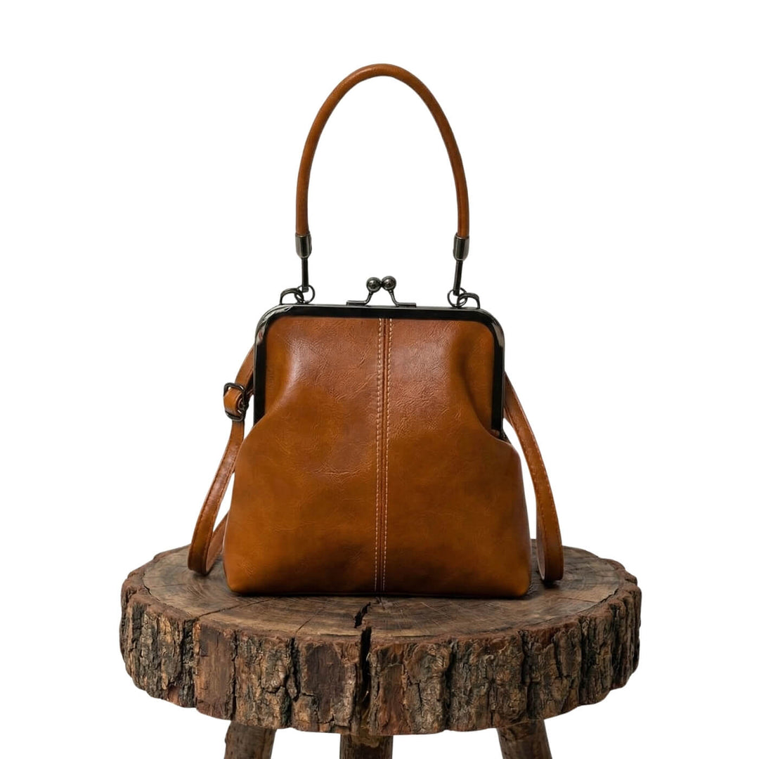 Vintage Frame Leather Handbag