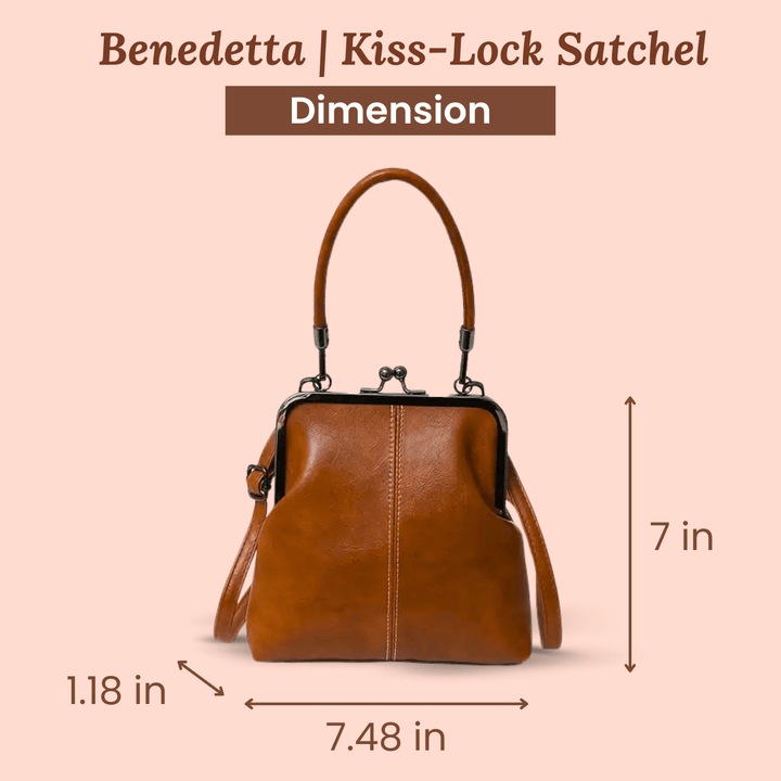 Vintage Frame Leather Handbag