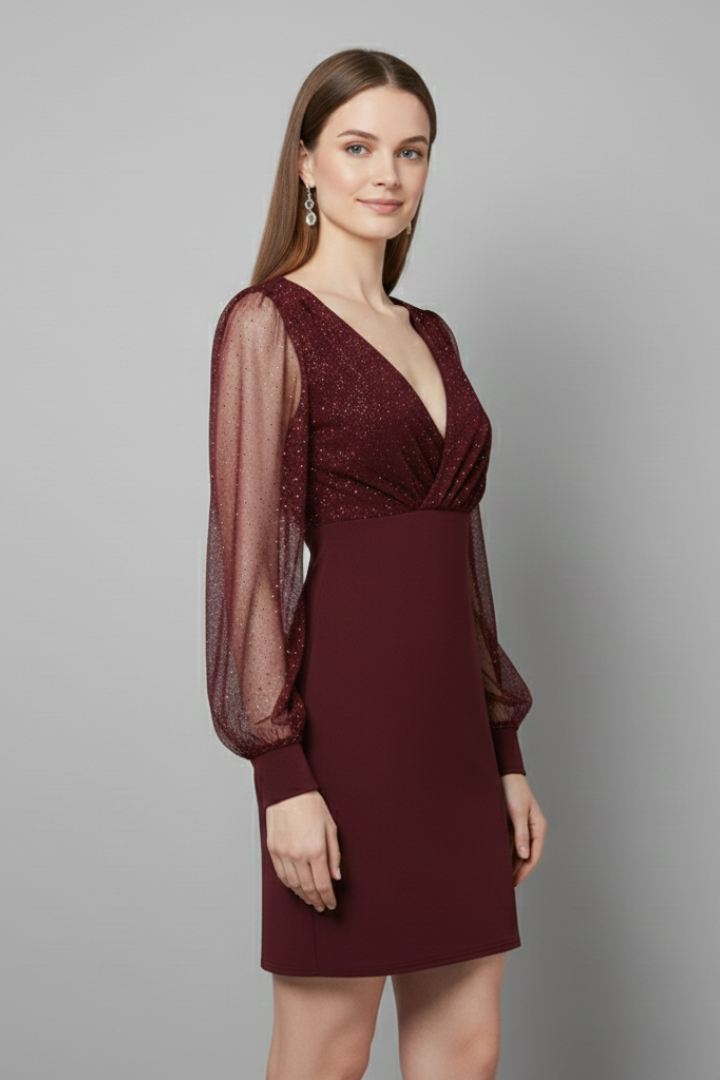 Women’s Mini Dress with V Neck and Sheer Sleeves